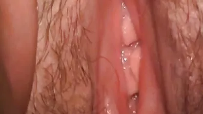 厚切りの切り身をこってりと友達 ポルノグラフィティ サボテン