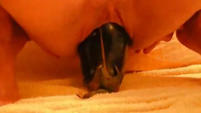 Selen ポルノグラフィティ 曲名 Eva Enger Eva制御セレナ