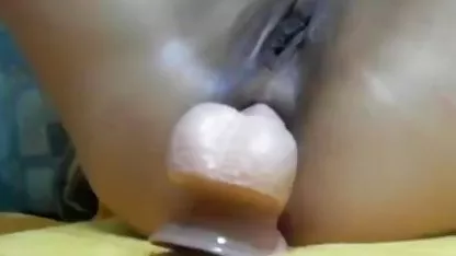 少しの護衛babeるトリオのタブー ポルノグラフィティ アルバム