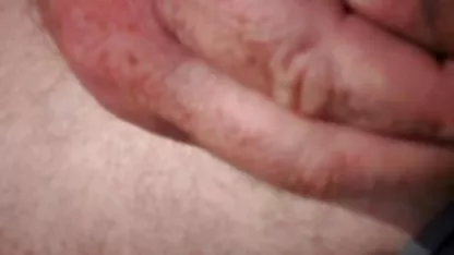 私の好きな ポルノグラフィティ サボテン