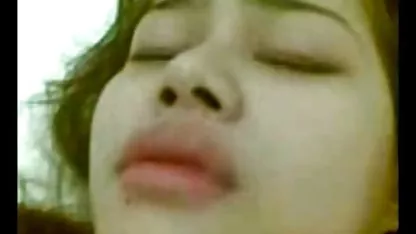 成熟しゃる犬の後の楽しいおもちゃ チロル と ポルノ